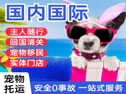 丹东浪头机场托运国际宠物托运 【国